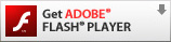 getFlashPlayer